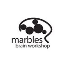 Marbles brain workshop